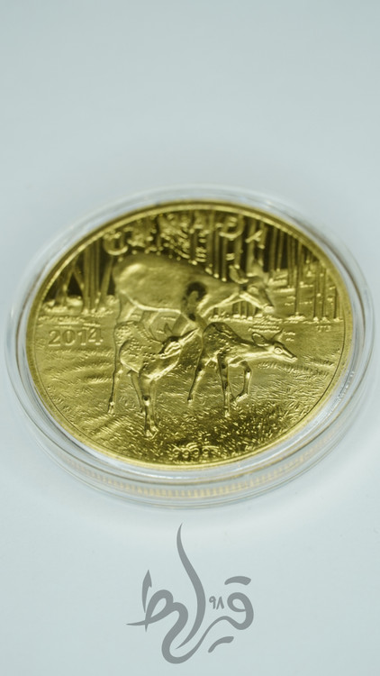 سکه کلکسیونی سکه تاریخی 12