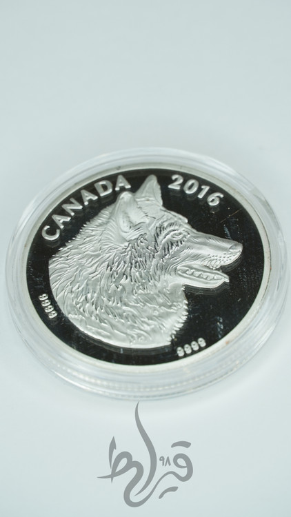 سکه کلکسیونی سکه تاریخی 6