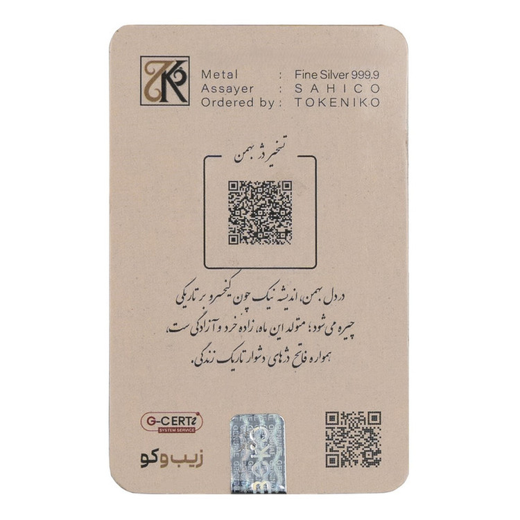 شمش نقره 1 اونسی (31.1 گرمی) زیبوکو بهمن عیار 999 | شمش نقره Zioboco | قیراط98